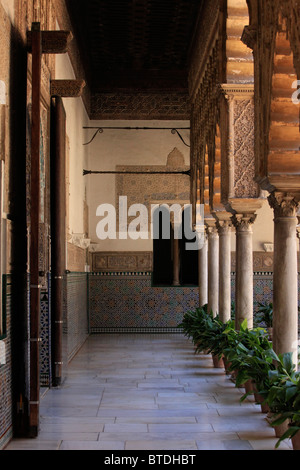 Laubengang im Innenhof der Maide im Alcazar von Sevilla in Sevilla, Spanien Stockfoto
