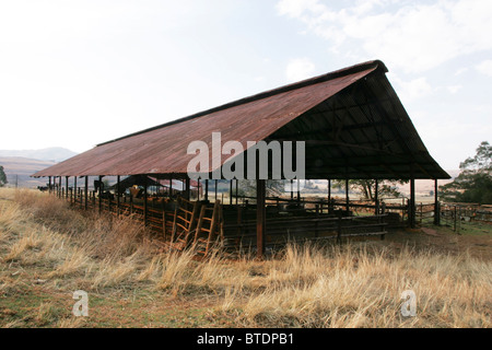 Ein niedrigen Winkel Blick auf einem Bauernhof Schuppen mit einem roten Wellpappe Dach Stockfoto