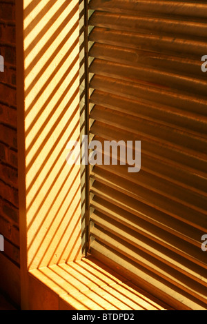 Holz-Fenster Lamellen mit der Sonne durch Stockfoto