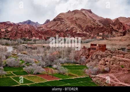 Anbauflächen und eine alte Berber-Kasbah in den Ausläufern des Mittleren Atlas-Gebirge Stockfoto