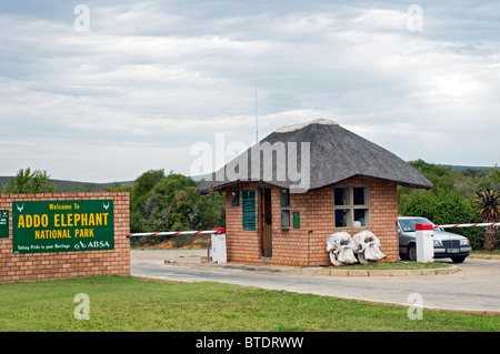 Haupttor (alt), Addo Elephant National Stockfoto