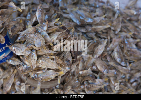 Regelklappe aus der Menge der kleine getrocknete Fische zu verkaufen Stockfoto