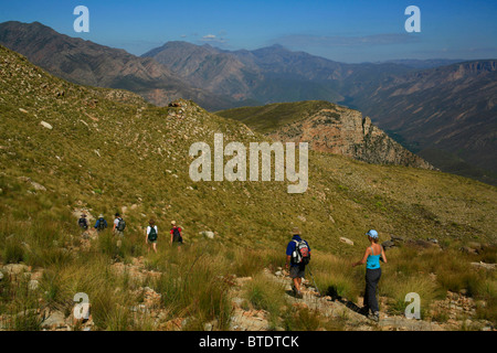 Wanderer auf dem Esel-Trail Wandern mit den Swartberg Bergkette im Hintergrund Stockfoto