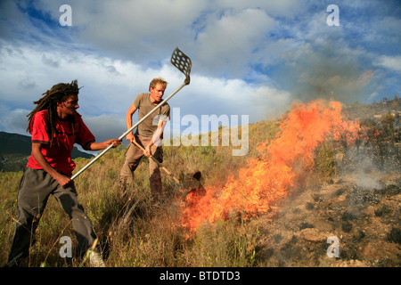 Feuerwehr, ein Bergfeuer in der Nähe von Greyton schlagen Stockfoto