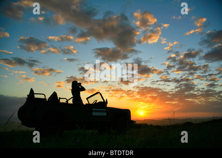 Ranger stehend in einem geöffneten gekrönt Safariträger Blick durch ein Fernglas auf Sonnenuntergang Stockfoto