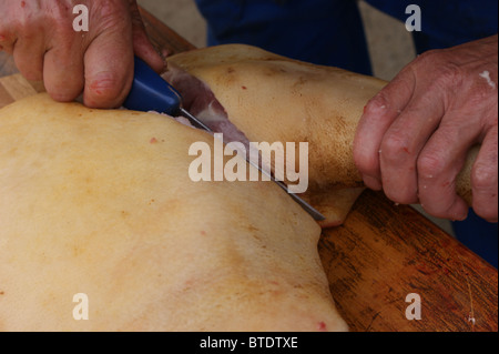 Schlachtung eine wachsende Schwein in einer ländlichen Gegend Zuhause Stockfoto