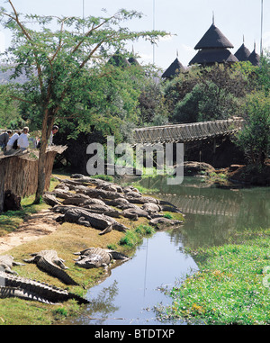 Kwena Gärten Krokodilfarm in Sun City Stockfoto