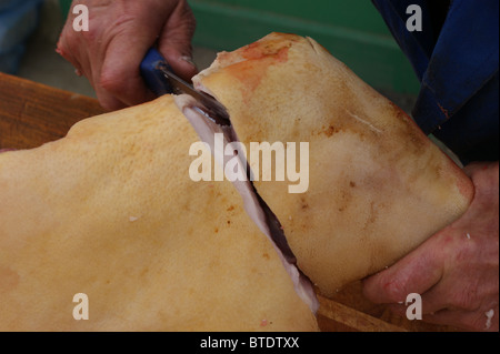 Schlachtung eine wachsende Schwein in einer ländlichen Gegend Zuhause Stockfoto