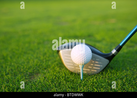 Golf Tee Ball Club Fahrer im grünen Rasen Kurs closeup