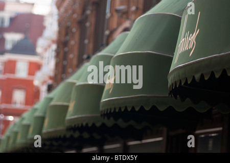 Die markante Vordächer gehören zu den weltweit berühmten Kaufhaus Harrods, London, England Stockfoto