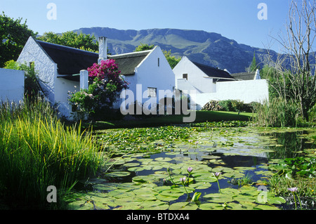 Weißes Gebäude mit Blick auf eine Lilie bedeckten Teich in Greyton im Western Cape Stockfoto