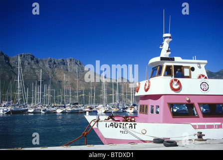 Yachten und Boote vertäut im Hafen von Hout Bay Stockfoto