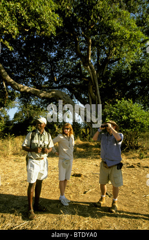 Touristen mit dem Fernglas auf eine walking-Safari im South Luangwa National park Stockfoto