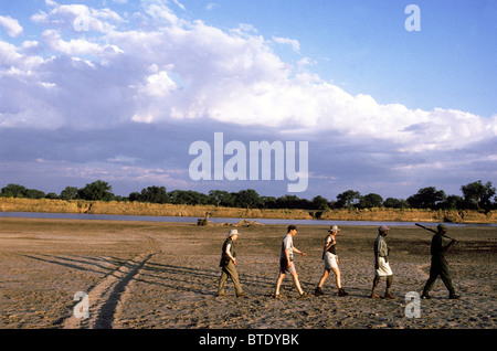 Touristen, die zu Fuß mit bewaffnete Wachen in den Luangwa Fluss auf eine Wandersafari Stockfoto