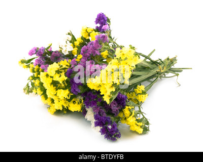 Blumenstrauß wunderschöne Statice auf weißem Hintergrund. Stockfoto