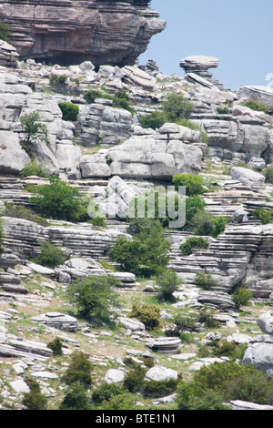 Verwitterten Kalkfelsen am Naturpark El Torcal, Andalusien, Spanien Stockfoto
