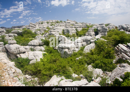 Verwitterte Felsen im Naturpark El Torcal, Andalusien, Spanien Stockfoto