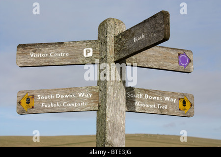 Wanderweg-Zeichen für den South Downs Way Stockfoto