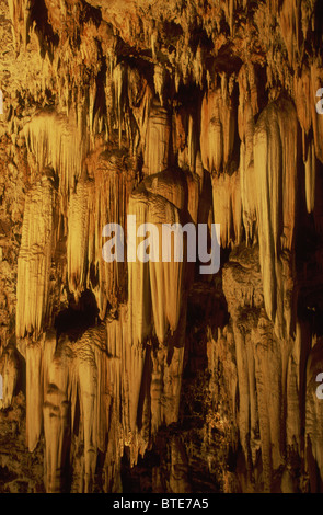 Einem großen Cluster der Stalaktiten 2200 Millionen Jahre alten hängen nach unten von der Decke der Höhle der Wunder Stockfoto