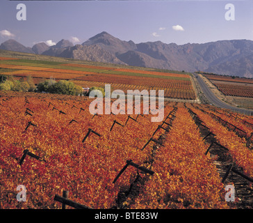 Herbst im Flusstal Hex Stockfoto