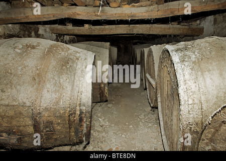 100 Jahre alte Eiche Fässer in einem Weinkeller im Priorat Wein Region, Katalonien, Spanien Stockfoto