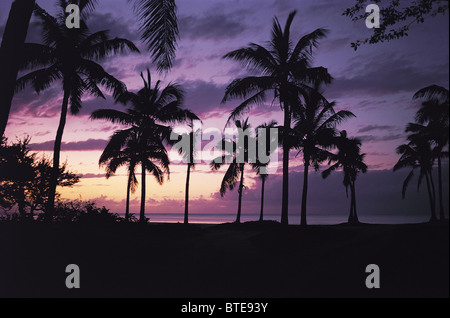 Tropischer Sonnenuntergang über Mauritius Stockfoto