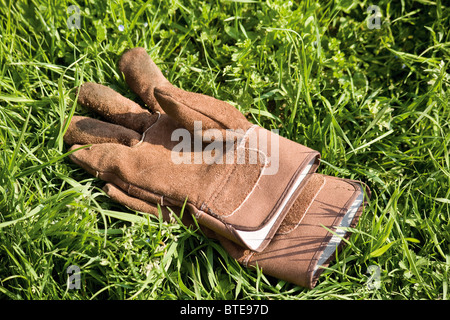 Paar Gartenhandschuhe auf Rasen Stockfoto