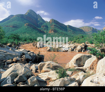 Olifants River fließt durch Mpumalanga Stockfoto