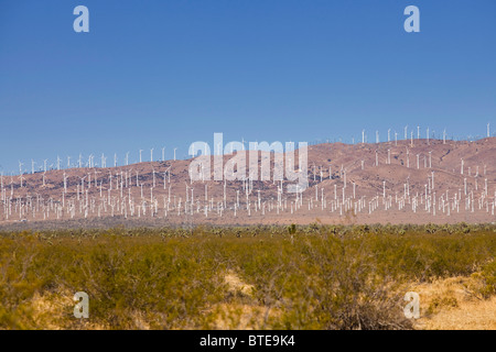 Windkraftanlagen in Windparks - San Gorgonio Pass, Palm Springs, Kalifornien, USA Stockfoto