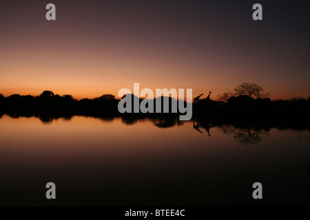 Stellen Sie sich vor Dam bei Sonnenuntergang mit zwei Giraffen in der Ferne Stockfoto