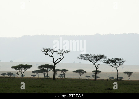 Malerische Aussicht auf eine große Wiese mit einem einsamen Baum und Berge in der Ferne sehr Stockfoto