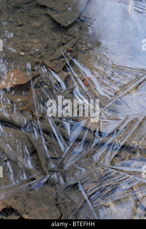 Eiskristalle auf Oberfläche des stream Stockfoto