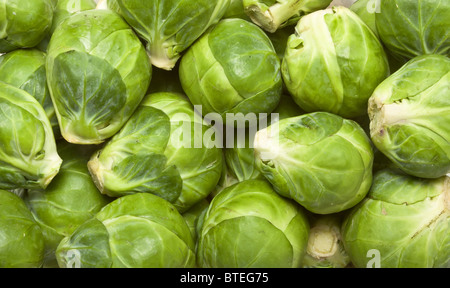 Hintergrund oder Textur von frischem Grün Rosenkohl. Stockfoto