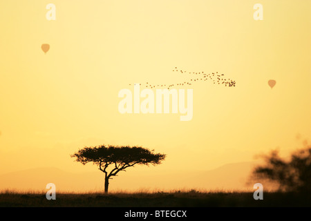 Ein Vogelschwarm fliegt in einer V-Formation und zwei Heißluftballons in den Himmel bei Sonnenuntergang über der afrikanischen Savanne Stockfoto