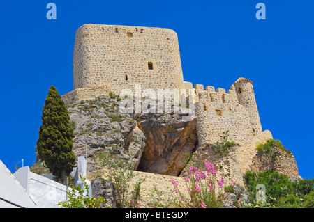 12. Jahrhundert maurischen Burg. Olvera, Pueblos Blancos (abgesprungen Renaissancekirche), Provinz Cádiz, Andalusien, Spanien Stockfoto