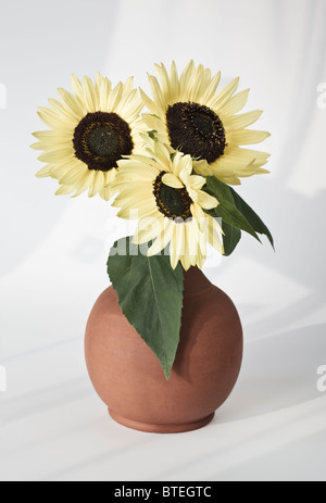 Drei Sonnenblumen in einer Vase Stockfoto