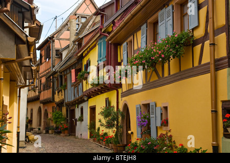 Fachwerkhäuser im Dorf Eguisheim im Elsass/Frankreich Stockfoto