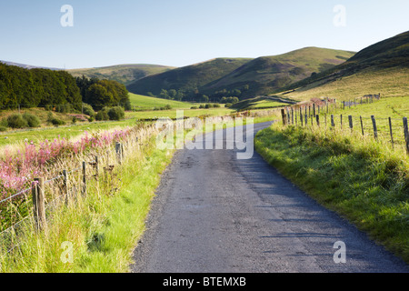 Straße in die Lammermuir Hügel, Scottish Borders Stockfoto