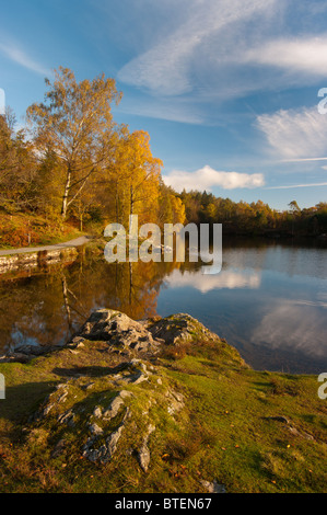 Tarn Hows Herbst Farben Stockfoto