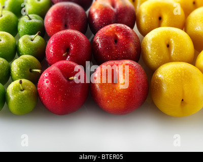 Gemischte rote, gelbe und grüne Pflaumen vor einem weißen Hintergrund Stockfoto