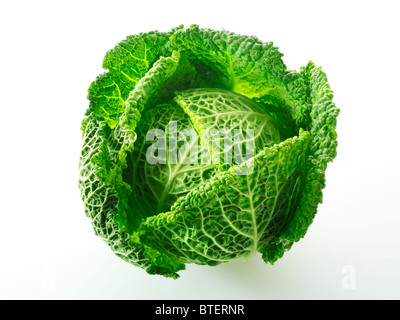 Frische ganze Curly Kohl Stockfoto