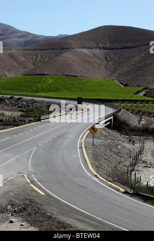 Hauptstraße vorbei an Weinbergen, Copiapo-Tal, Región de Atacama, Chile Stockfoto