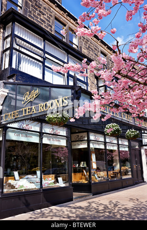 Bettys Cafe Teestuben auf The Grove in Ilkley, West Yorkshire, Großbritannien. Frühling Stockfoto