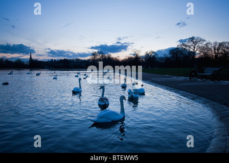 Dämmerung, Kensington Gardens im zeitigen Frühjahr, März 2010 Stockfoto