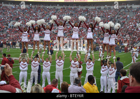 Universität von Alabama Cheerleader beim Fußballspiel. Stockfoto