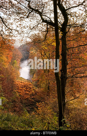 Des Flusses Wharfe aus Strid Woods, Bolton Abbey, Yorkshire. Herbst Stockfoto