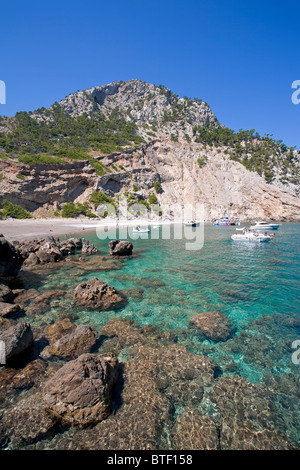 Es Coll Baix Strand. Alcudia. Insel Mallorca. Spanien Stockfoto