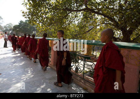 Junge tibetische Mönche der Mahabodhi Tempel, Bodhgaya, Bihar, Indien zu besuchen. Stockfoto