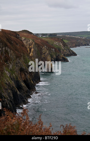 Die Rock-Stapel bekannt als die Nadel an der Küste von Pembrokeshire in Wales, UK Stockfoto