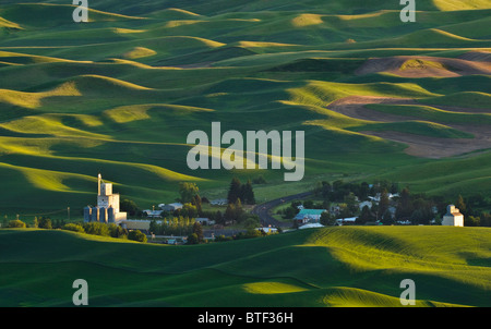 Palouse Land Weizenfelder und die Stadt Steptoe aus Steptoe Butte, Washington. Stockfoto